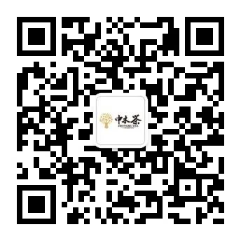 中木 大雪山  普洱茶  生茶  2014年/7克/粒 古树纯料龙珠 图8