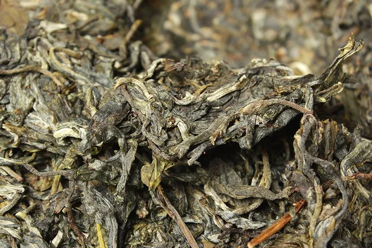 中木  大户赛  普洱茶 生茶 2015年/357克/饼  明前古树 春茶 古树茶 图2