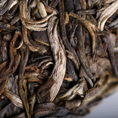 老同志  深山老树 普洱茶 生茶 2019年/500克/饼 图2