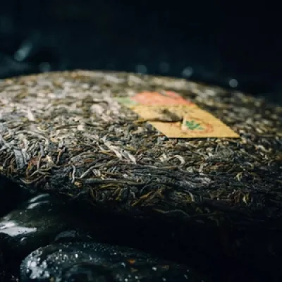 中茶 8581 普洱茶 生茶 2019年/357克/饼 图2