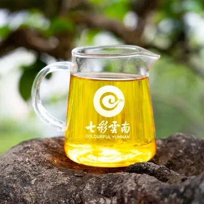 七彩云南 麻黑正山古树 春茶 普洱茶 生茶 2021年/357克/饼 春茶 图3