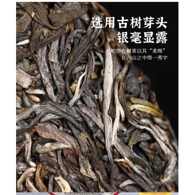 老同志 帕沙古树 普洱茶 生茶 2021年/500克/饼 图2