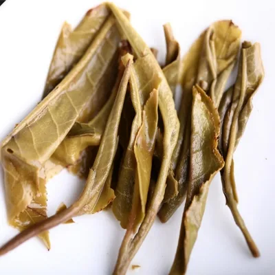 老同志 懂过 普洱茶 生茶 2021年/500克/饼 图4