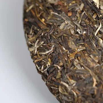 【已售罄】老同志  深山老树  普洱茶  生茶   2021年/500克/饼 图3