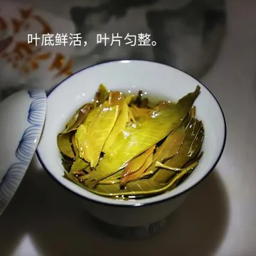 老同志 滑竹梁子 普洱茶 生茶 2021年/357克/饼 图5