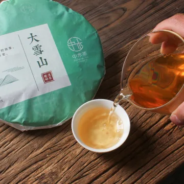 中木大雪山头春 普洱生茶 2022年 357克/饼 图3