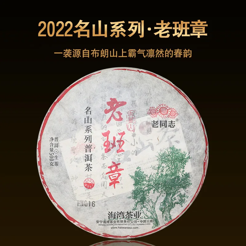老同志 名山系列 老班章  普洱茶  生茶  2022年  500克/饼