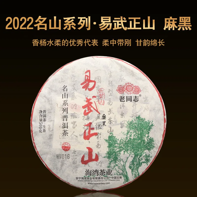 老同志 名山系列 易武正山 麻黑  普洱茶  生茶  2022年  500克/饼
