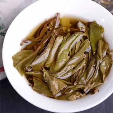 老同志 名山系列 易武正山 麻黑  普洱茶  生茶  2022年  500克/饼 图4