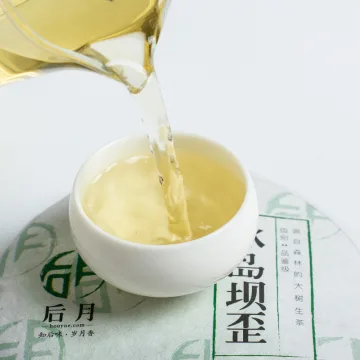 后月冰岛坝歪 2022年 200/饼 品鉴级生茶 头春守采鲜叶 图4
