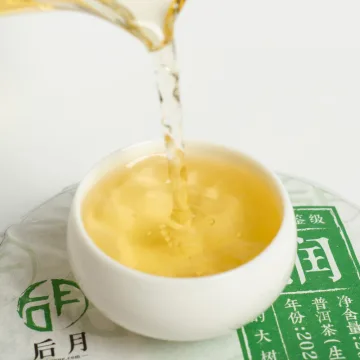 后月润饼 2022年 200/饼 品鉴级生茶 图4