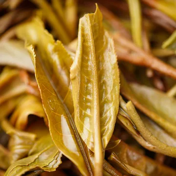 七彩云南 七彩班章有机普洱茶  生茶  357克/饼 图4