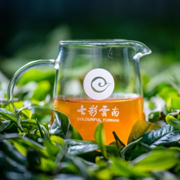七彩云南庆沣祥 七彩茶王普洱茶 生茶  2022年 357克/饼 图3
