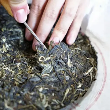 兴海 勐宋印茶 普洱茶 生茶 2018年 357克/饼 图2