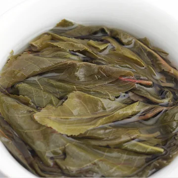 【有货啦,买一送一】昔归古树黄金叶 老黄片 香扬水甜 300克/份 普洱茶生茶散茶 2023年 图5