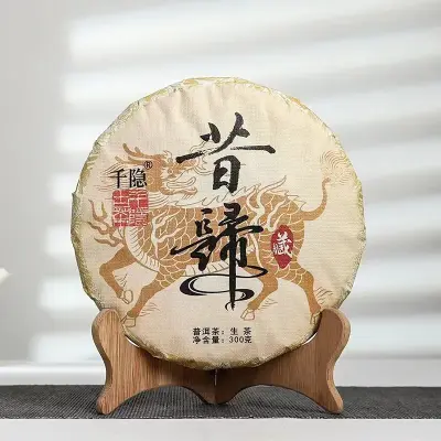 昔归古树黄金叶 普洱茶生茶 300克/饼