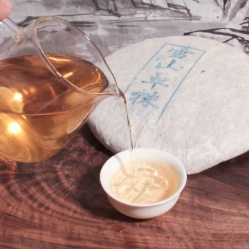 【已售罄】雪山单株 普洱茶生茶 357克饼 古树单株料 图3