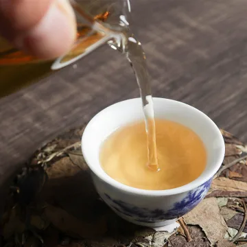 千隐古茶2024年 春之语 昔归白茶 200克/饼 云南白茶 图3