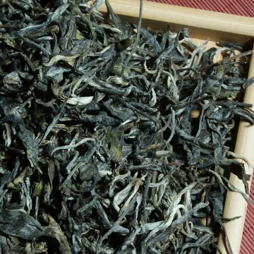 【已售罄】中木2025年正气塘 头春 普洱茶晒青 生茶 散茶 200克/盒 图2