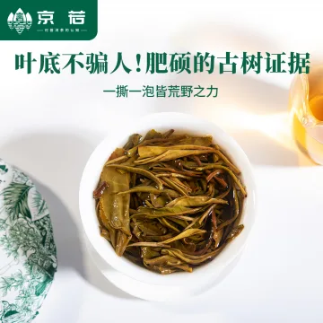 【新品特惠】京若茶业 新店上新 荒野高杆古树普洱生茶 云南德宏普洱茶叶200克 图7