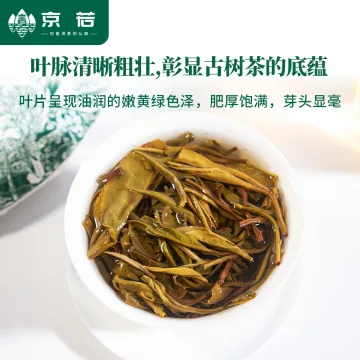 【新品特惠】京若茶业 昔归忙麓山古树普洱生茶 云南普洱茶叶357克 图8