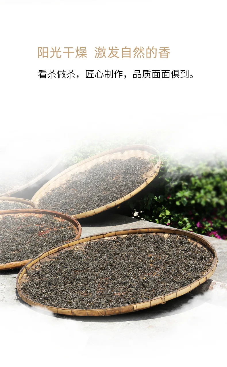 老10