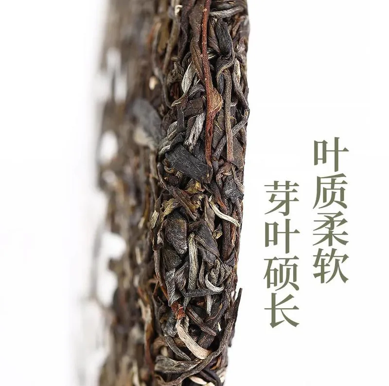 老同志7