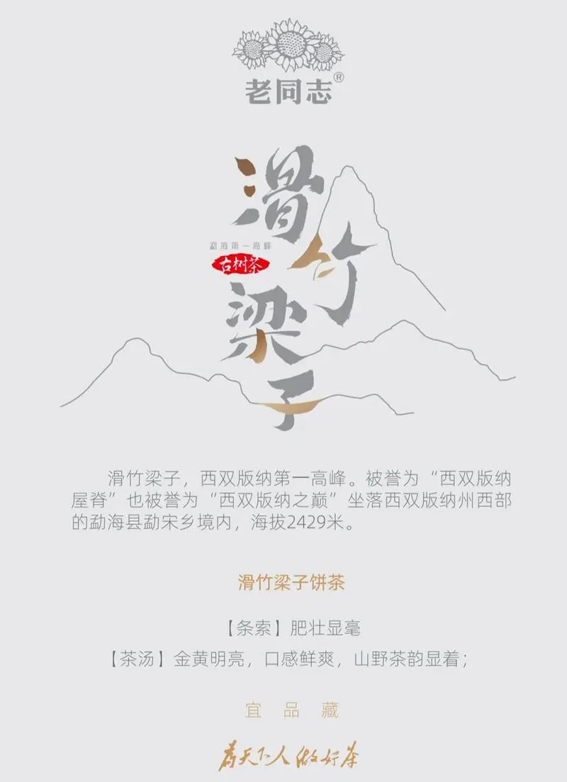 老同志11 2021091509461254931