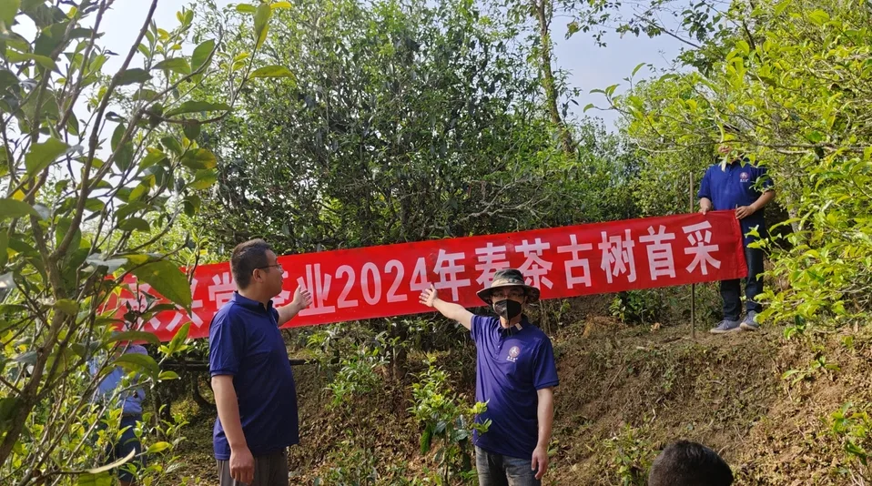 昔归 2024061808533431833