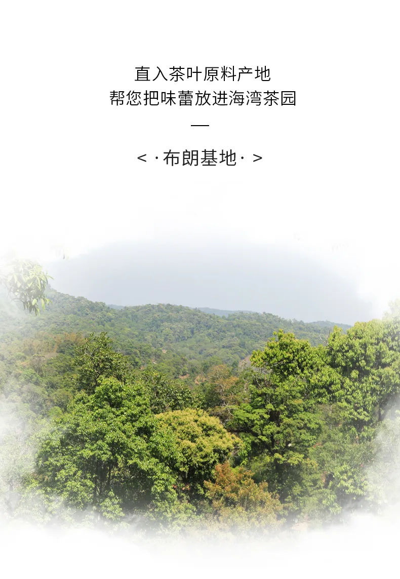 老7