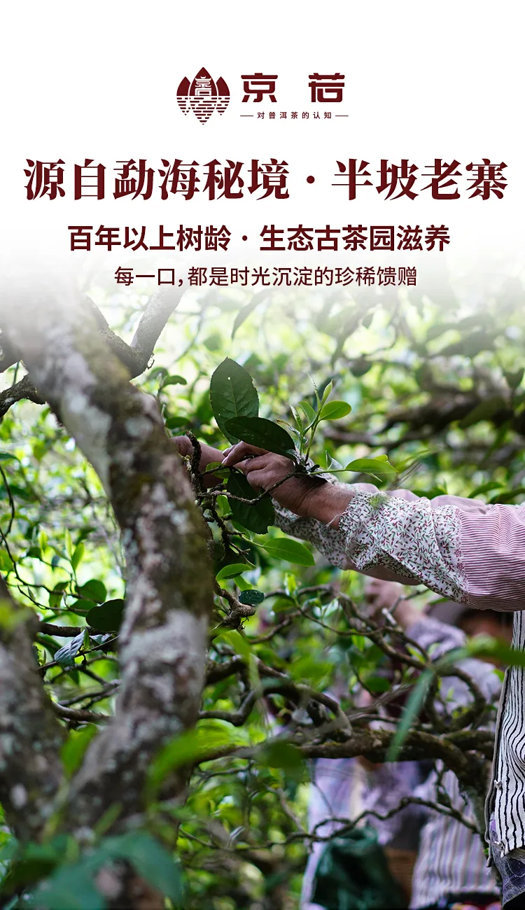 半坡老寨_02