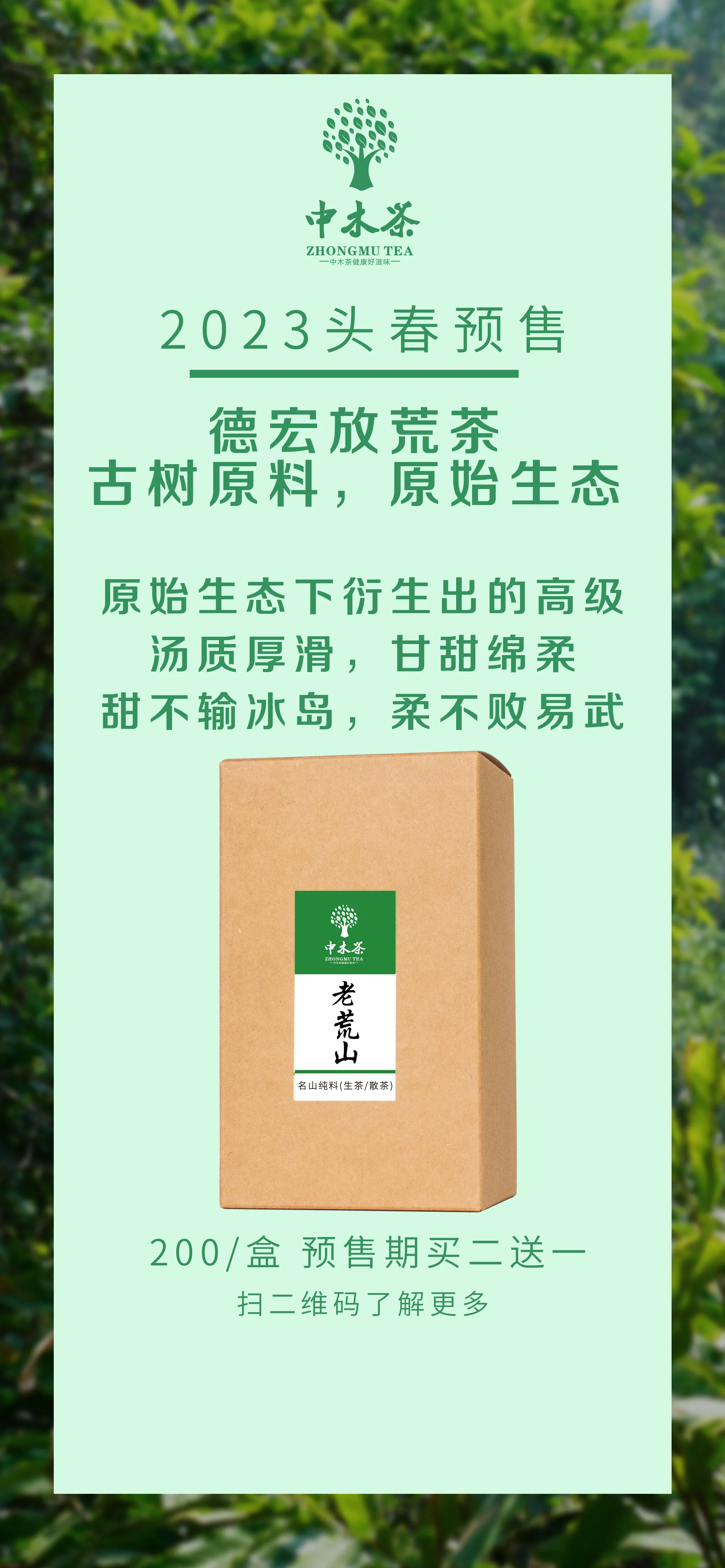 老荒山 2023030702100306580