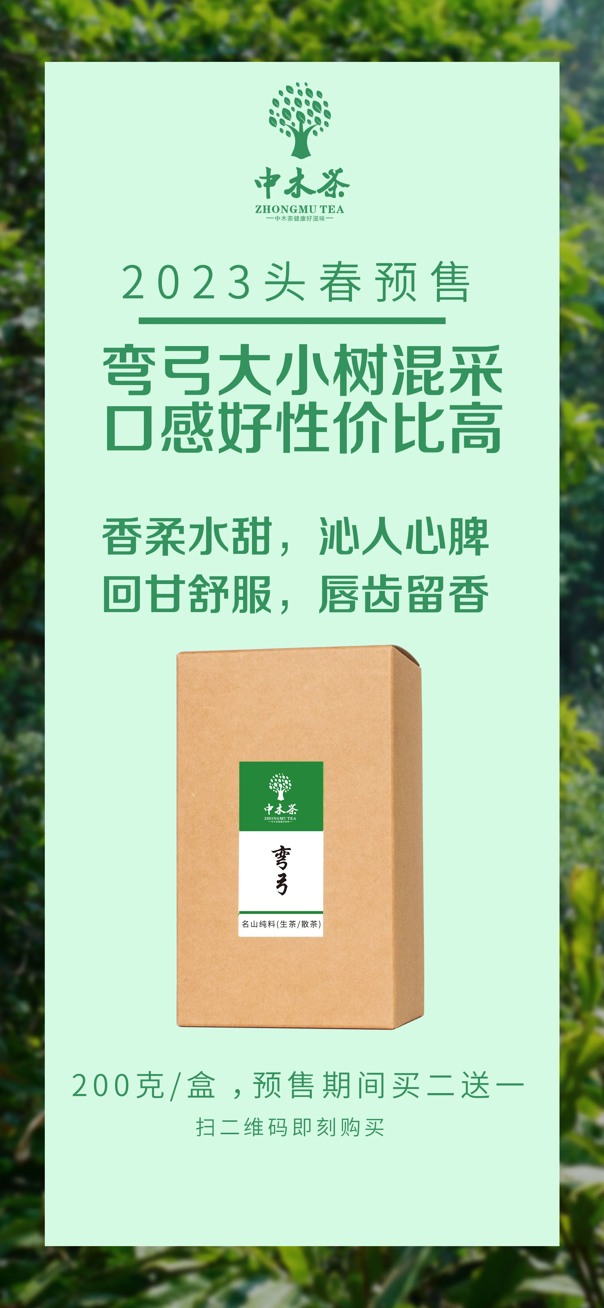 弯弓 2023030702142434389