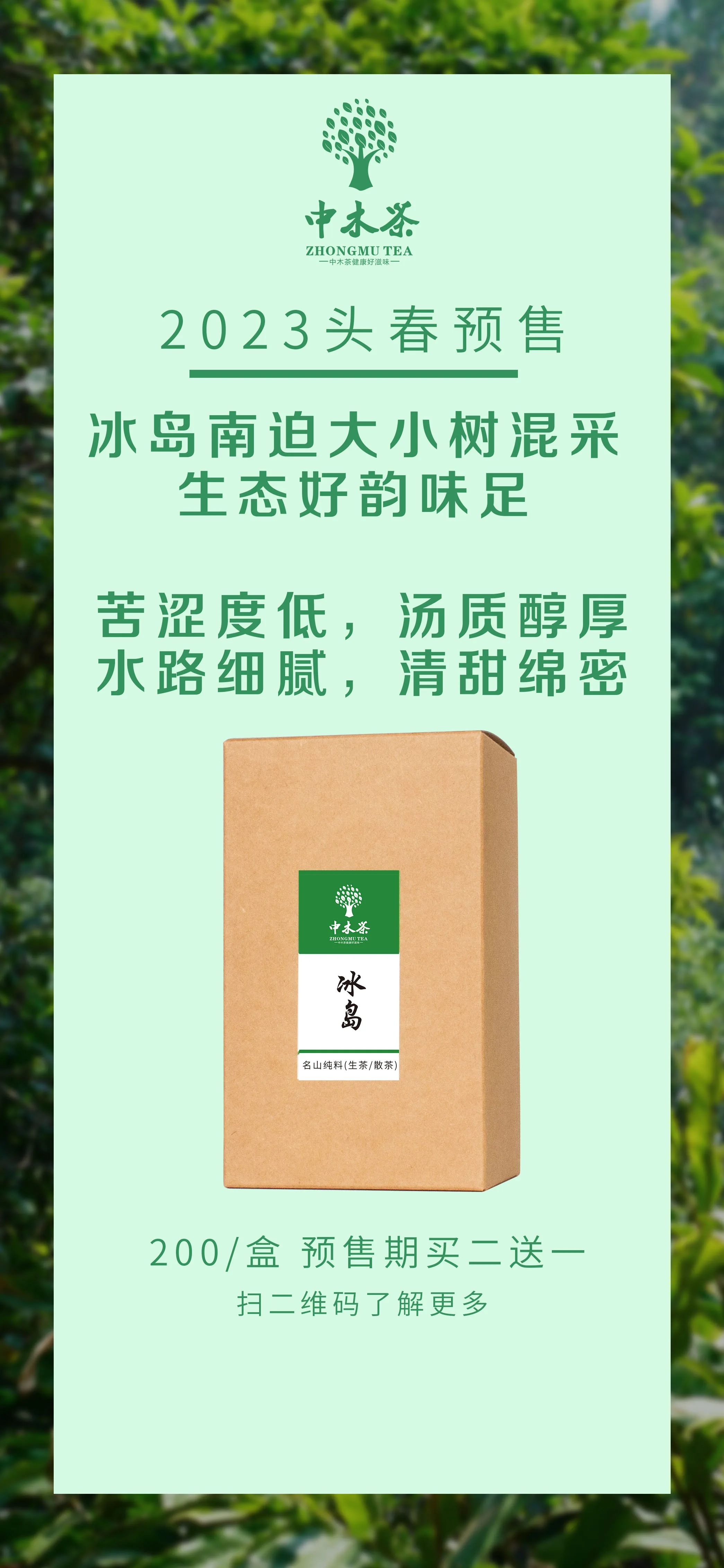 冰岛 2023030702052852511