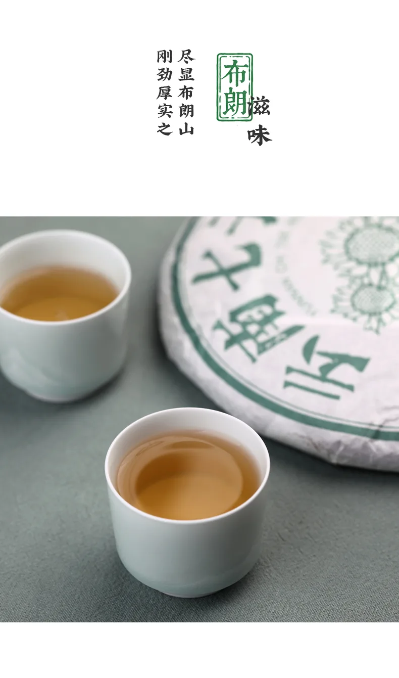 老15
