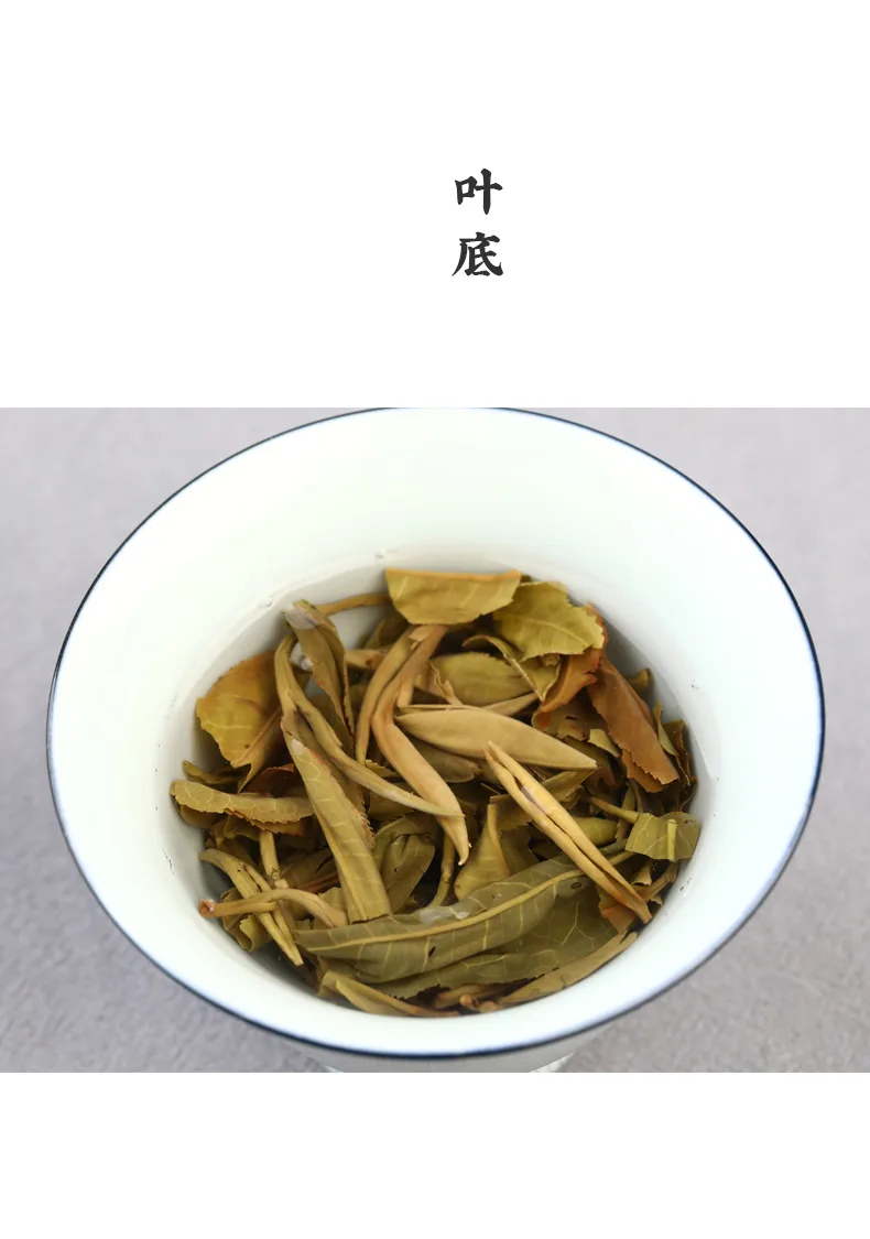 老16